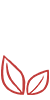 安裝快捷